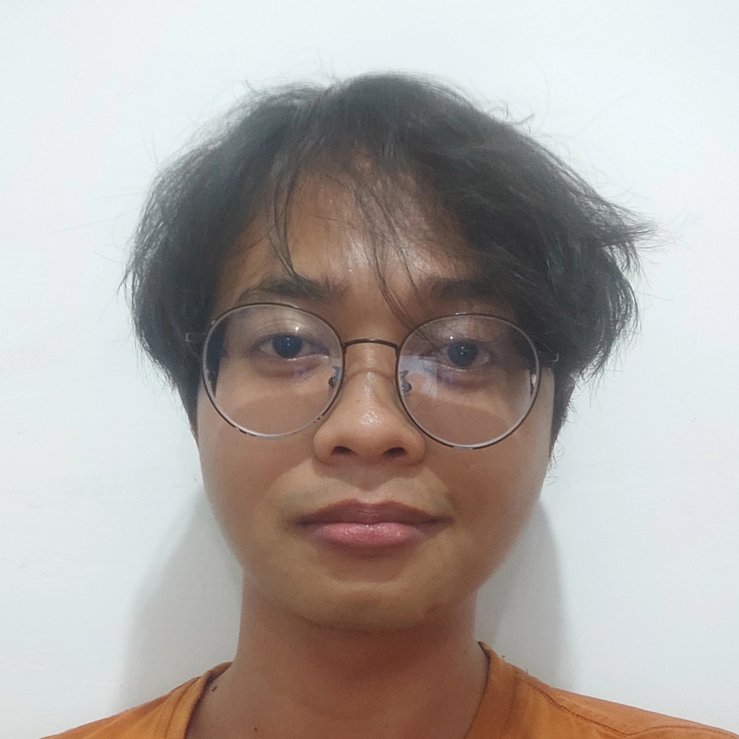 Mohammad Ferry Husnil Arif